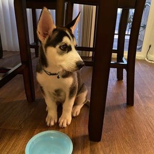 Meet your Posher, Eric